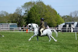 M19_0338 2026