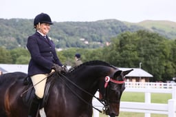 H203 HOYS Small Hacks