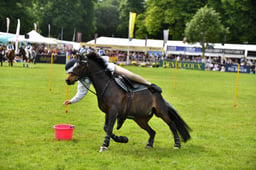 R39_1504 2026