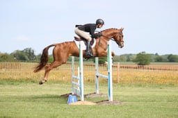 X21_0634 2026