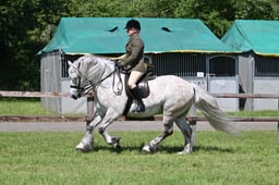 A41_2825 2026