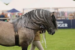 S29_0435 2026