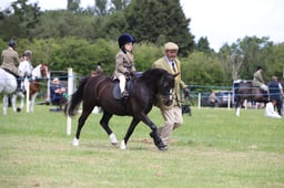 W36_1598 2026