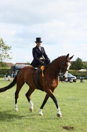 E36_2346 2026