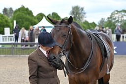 A29_2117 2026