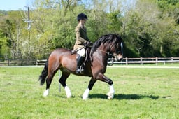 M19_0694 2026