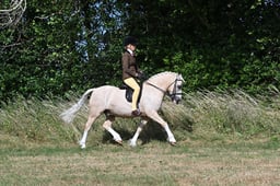 S60_0264 2026