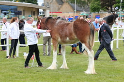 F44_0576 2026
