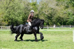 M19_0520 2026