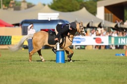 H46_8679 2026