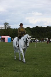 E36_2124 2026