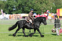 C33_0626 2026
