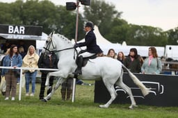 E30_3281 2026