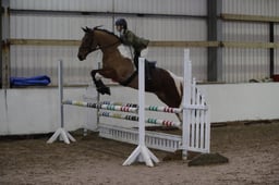 Show Jumping