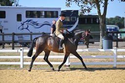 113C Hack Championship