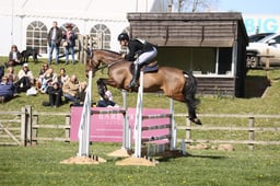 571 LOCARNO STAR