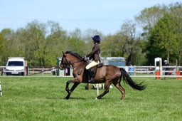 M19_0436 2026