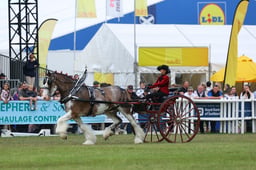 H46_7824 2026