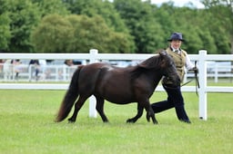 Z41_0577 2026