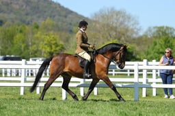09 HOYS Ridden M&M Fell Dales High & NF