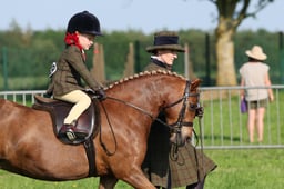 52 SHP Lead Rein