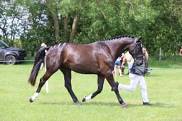 J36_6827 2026