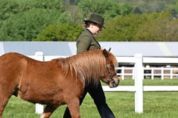 S19_7263 2026