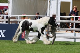 S28_8493 2026