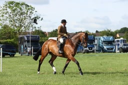 E36_0370 2026