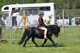 C33_2010 2026