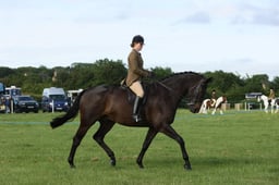 E36_0061 2026