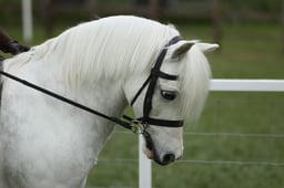 E30_4388 2026