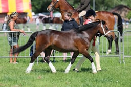 C33_0952 2026