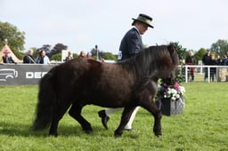 E31_0232 2026