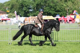 C33_0596 2026