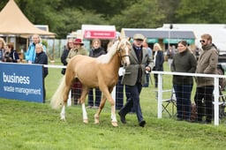 E29_0551 2026