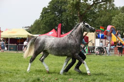 E34_2033 2026