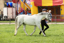 E34_2678 2026