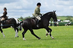 H36_8058 2026