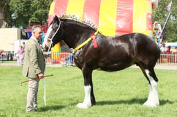 E33_4657 2026