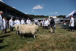 M67_0904 2026