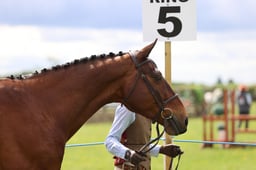 J36_6084 2026