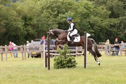 H172B Arena Eventing 90cm