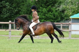 H41_2890 2026