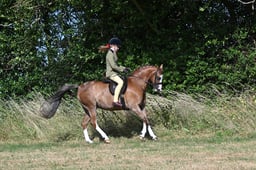 S60_0269 2026