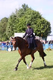 E46_0925 2026