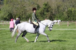 C19_0686 2026