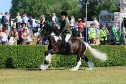 S61_0562 2026