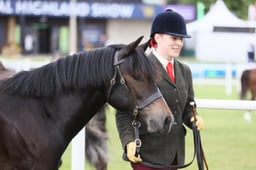 514 Large Breeds Yearlings