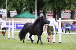 E44_1005 2026